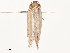  ( - CBG-B07596-E10)  @11 [ ] CreativeCommons - Attribution Share - Alike (2025) CBG Photography Group Centre for Biodiversity Genomics