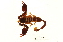  ( - BIOUG00180-B03)  @13 [ ] Copyright  G. Blagoev 2010 Unspecified