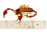  ( - VF-0746-1)  @14 [ ] CreativeCommons - Attribution (2010) Gergin Blagoev, Centre for Biodiversity Genomics Centre for Biodiversity Genomics