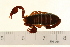  ( - VF-0822-1)  @13 [ ] CreativeCommons - Attribution (2010) Gergin Blagoev, Centre for Biodiversity Genomics Centre for Biodiversity Genomics