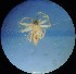  ( - UOS-AMSPK-00018)  @12 [ ] CreativeCommons - Attribution Non-Commercial Share-Alike (2015) Arif M. Khan University of Sargodha