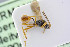  ( - BC-ZSM-HYM-24057-H10)  @11 [ ] by-nc-sa (2020) SNSB, Staatliche Naturwissenschaftliche Sammlungen Bayerns SNSB, Zoologische Staatssammlung Muenchen