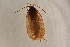  ( - BC ZSM Lep 100148)  @12 [ ] CreativeCommons - Attribution Non-Commercial Share-Alike (2015) Unspecified SNSB, Zoologische Staatssammlung Muenchen