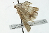  ( - BIOUG00797-C04)  @12 [ ] CreativeCommons - Attribution (2011) CBG Photography Group Centre for Biodiversity Genomics