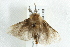  ( - BIOUG00797-C05)  @13 [ ] CreativeCommons - Attribution (2011) CBG Photography Group Centre for Biodiversity Genomics