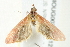  ( - BIOUG00798-A12)  @11 [ ] CreativeCommons - Attribution (2011) CBG Photography Group Centre for Biodiversity Genomics