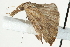  ( - BIOUG00798-B07)  @12 [ ] CreativeCommons - Attribution (2011) CBG Photography Group Centre for Biodiversity Genomics
