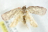  ( - BIOUG00798-C01)  @13 [ ] CreativeCommons - Attribution (2011) CBG Photography Group Centre for Biodiversity Genomics