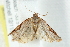  ( - BIOUG00798-C05)  @12 [ ] CreativeCommons - Attribution (2011) CBG Photography Group Centre for Biodiversity Genomics