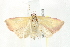  ( - BIOUG00798-F05)  @13 [ ] CreativeCommons - Attribution (2011) CBG Photography Group Centre for Biodiversity Genomics