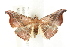  ( - BIOUG00798-G02)  @14 [ ] CreativeCommons - Attribution (2011) CBG Photography Group Centre for Biodiversity Genomics