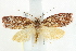  ( - BIOUG00798-G07)  @14 [ ] CreativeCommons - Attribution (2011) CBG Photography Group Centre for Biodiversity Genomics