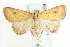  ( - BIOUG00798-G11)  @14 [ ] CreativeCommons - Attribution (2011) CBG Photography Group Centre for Biodiversity Genomics