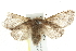  ( - BIOUG00796-C12)  @13 [ ] CreativeCommons - Attribution (2011) CBG Photography Group Centre for Biodiversity Genomics