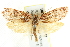  ( - BIOUG00796-E12)  @14 [ ] CreativeCommons - Attribution (2011) CBG Photography Group Centre for Biodiversity Genomics