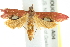  ( - BIOUG00799-A04)  @11 [ ] CreativeCommons - Attribution (2011) CBG Photography Group Centre for Biodiversity Genomics