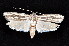  ( - K290702)  @13 [ ] CreativeCommons - Attribution Non-Commercial Share-Alike (2011) Andrew Mitchell Australian Museum