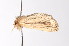  ( - K290821)  @12 [ ] CreativeCommons - Attribution Non-Commercial Share-Alike (2011) Andrew Mitchell Australian Museum