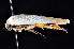  ( - K292491)  @11 [ ] CreativeCommons - Attribution Non-Commercial Share-Alike (2011) Andrew Mitchell Australian Museum
