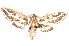  ( - K292495)  @13 [ ] CreativeCommons - Attribution Non-Commercial Share-Alike (2011) Andrew Mitchell Australian Museum