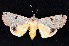  ( - K292505)  @14 [ ] CreativeCommons - Attribution Non-Commercial Share-Alike (2011) Andrew Mitchell Australian Museum