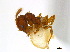  ( - CCDB-22212-D10)  @11 [ ] CreativeCommons - Attribution (2011) M. Alex Smith Centre for Biodiversity Genomics
