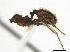  ( - CCDB-22213-B02)  @13 [ ] CreativeCommons - Attribution (2011) M. Alex Smith Centre for Biodiversity Genomics