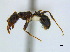  ( - CCDB-22213-C09)  @13 [ ] CreativeCommons - Attribution (2011) M. Alex Smith Centre for Biodiversity Genomics
