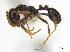  ( - CCDB-22213-C11)  @14 [ ] CreativeCommons - Attribution (2011) M. Alex Smith Centre for Biodiversity Genomics