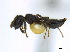  ( - CCDB-22213-C12)  @13 [ ] CreativeCommons - Attribution (2011) M. Alex Smith Centre for Biodiversity Genomics