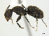 ( - CCDB-22213-F02)  @13 [ ] CreativeCommons - Attribution (2011) M. Alex Smith Centre for Biodiversity Genomics