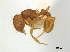 ( - CCDB-22213-F05)  @12 [ ] CreativeCommons - Attribution (2011) M. Alex Smith Centre for Biodiversity Genomics