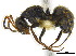  ( - CCDB-22213-G10)  @12 [ ] CreativeCommons - Attribution (2011) M. Alex Smith Centre for Biodiversity Genomics