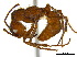  ( - CCDB-22213-H02)  @11 [ ] CreativeCommons - Attribution (2011) M. Alex Smith Centre for Biodiversity Genomics
