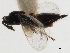  ( - 11ANIC-17514)  @11 [ ] CreativeCommons - Attribution (2011) ANIC/CBG Photography Group Centre for Biodiversity Genomics
