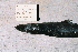  ( - BPS-0450)  @12 [ ] Copyright (2002) Samuel P. Iglesias Museum national d'Histoire naturelle