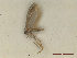  ( - CLV48051)  @11 [ ] CreativeCommons  Attribution Non-Commercial Share-Alike (2023) Carlos Lopez Vaamonde Institut National de la Recherche Agronomique, Zoologie Forestiere