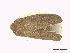  ( - CLV48134)  @11 [ ] CreativeCommons  Attribution Non-Commercial Share-Alike (2023) Carlos Lopez Vaamonde Institut National de la Recherche Agronomique, Zoologie Forestiere