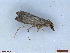  ( - CLV48440)  @11 [ ] CreativeCommons  Attribution Non-Commercial Share-Alike (2024) Carlos Lopez Vaamonde Institut National de la Recherche Agronomique, Zoologie Forestiere
