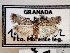  ( - CLV49309)  @11 [ ] CreativeCommons  Attribution Non-Commercial Share-Alike (2024) Carlos Lopez Vaamonde Institut National de la Recherche Agronomique, Zoologie Forestiere