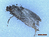  ( - CLV5001025)  @11 [ ] CreativeCommons  Attribution Non-Commercial Share-Alike (2025) Carlos Lopez Vaamonde Institut National de la Recherche Agronomique, Zoologie Forestiere