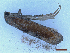  ( - CLV50031)  @11 [ ] CreativeCommons  Attribution Non-Commercial Share-Alike (2025) Carlos Lopez Vaamonde Institut National de la Recherche Agronomique, Zoologie Forestiere