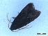  ( - CLV50071)  @11 [ ] CreativeCommons  Attribution Non-Commercial Share-Alike (2025) Carlos Lopez Vaamonde Institut National de la Recherche Agronomique, Zoologie Forestiere