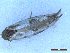  ( - CLV50073)  @11 [ ] CreativeCommons  Attribution Non-Commercial Share-Alike (2025) Carlos Lopez Vaamonde Institut National de la Recherche Agronomique, Zoologie Forestiere