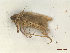  ( - CLV47974)  @11 [ ] CreativeCommons  Attribution Non-Commercial Share-Alike (2023) Carlos Lopez Vaamonde Institut National de la Recherche Agronomique, Zoologie Forestiere