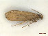  ( - CLV47975)  @11 [ ] CreativeCommons  Attribution Non-Commercial Share-Alike (2023) Carlos Lopez Vaamonde Institut National de la Recherche Agronomique, Zoologie Forestiere