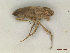  ( - CLV47976)  @11 [ ] CreativeCommons  Attribution Non-Commercial Share-Alike (2023) Carlos Lopez Vaamonde Institut National de la Recherche Agronomique, Zoologie Forestiere