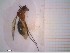  ( - A2_075DD7-3)  @11 [ ] © (2024) Antonia Abels Julius-Maximilians-University Wuerzburg