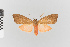  ( - Pe-Arc-3307)  @11 [ ] copyright (2025) Gunnar Brehm Friedrich-Schiller-University Jena