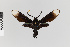  ( - Pe-Arc-3913)  @11 [ ] copyright (2025) Gunnar Brehm Friedrich-Schiller-University Jena